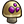 Hardshroom